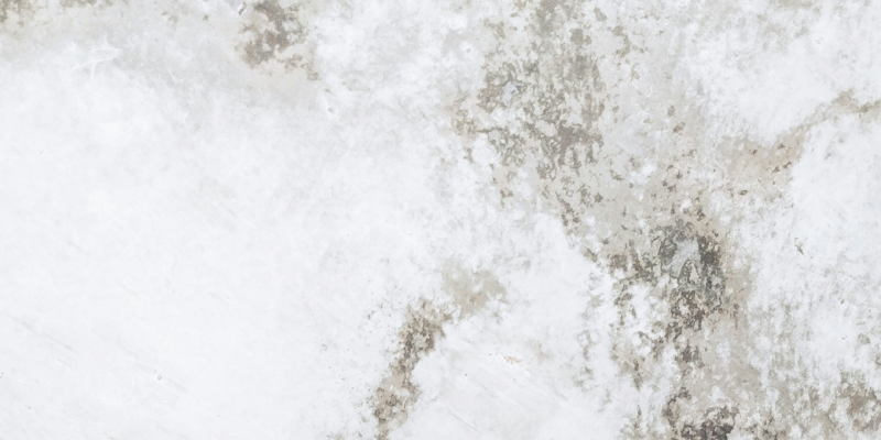 Mould