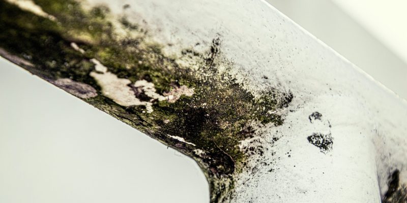 michael-schaffler-_6Ae1LgFFFA-unsplash